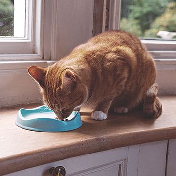 BECO CAT BOWLS