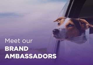 Meet our Brand Ambassadors