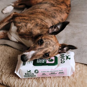 BECO WIPES