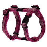 Rogz Fancy Dress H-Harness For Dogs