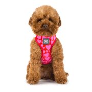 DGG Easy Walker Harness For Dogs