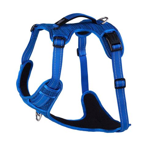 Rogz Specialty Explore Harness Blue Xlge