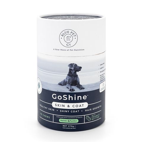 Blue Pet Co GoShine for Dogs