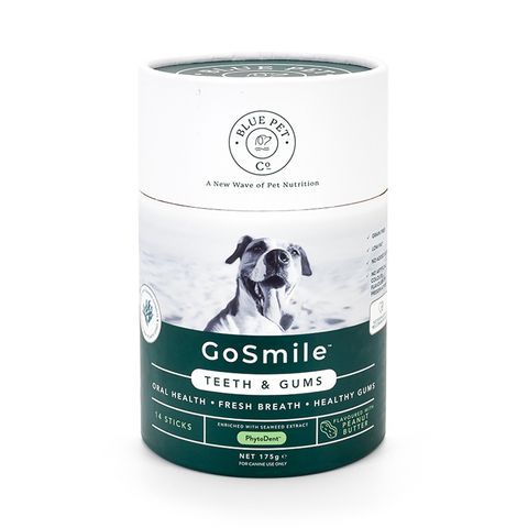 Blue Pet Co GoSmile for Dogs