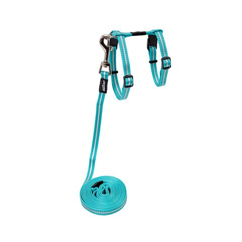Rogz AlleyCat Control Harness and Lead Teal Sml