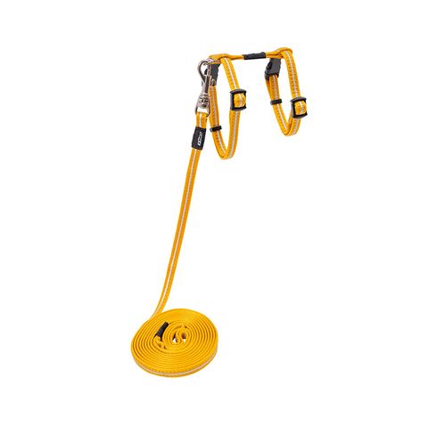 Rogz AlleyCat Control Harness and Lead Gold Xsml