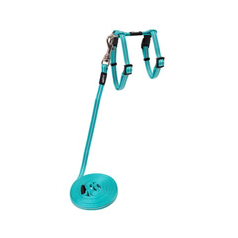 Rogz AlleyCat Control Harness and Lead Teal Xsml