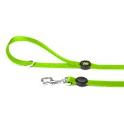 My Family Memo Pet Tape Leash for Dogs