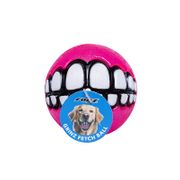 Rogz Grinz Fetch Ball for Dogs