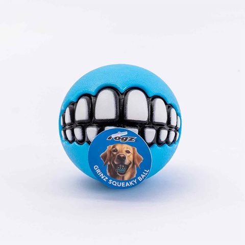 Rogz Grinz Squeaks Ball Turquoise Med (no packaging)