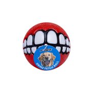 Rogz Grinz Fetch Ball for Dogs