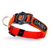 My Family MemoPet ID Collar For Dogs