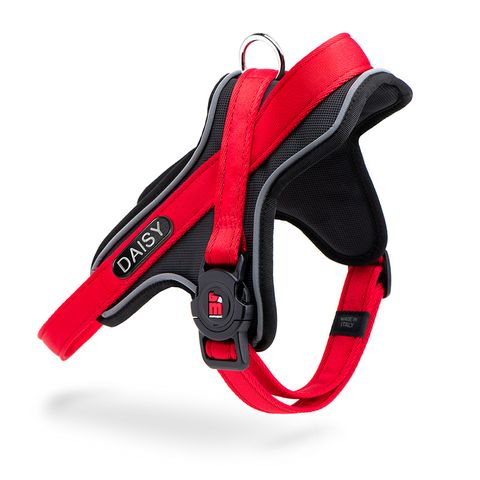 My Family MemoPet ID Y Harness Red XSml
