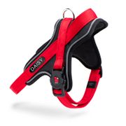 My Family MemoPet ID Y Harness For Dogs