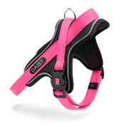 My Family MemoPet ID Y Harness For Dogs