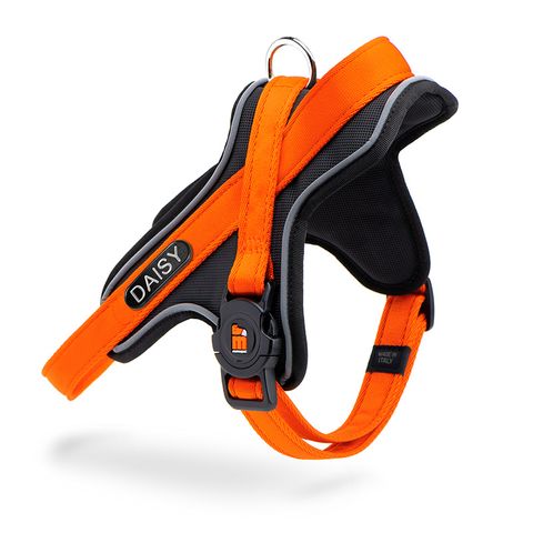 My Family MemoPet ID Y Harness Orange XLge