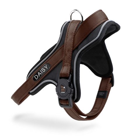 My Family MemoPet ID Y Harness Brown XSml