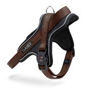 My Family MemoPet ID Y Harness For Dogs