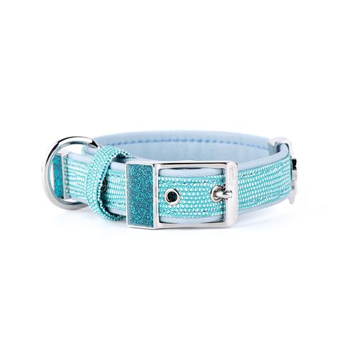 My Family Leather Saint Tropez Dog Collar Turquoise Med