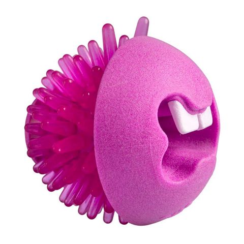 Rogz Fred Treat Ball Pink