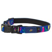 Rogz Fusion Classic Collar for Dogs