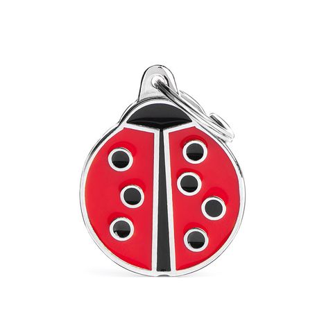 My Family Charm Big Ladybug