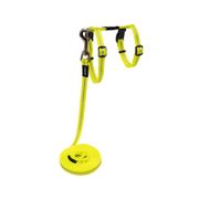 Rogz AlleyCat Control Harness and Lead for Cats