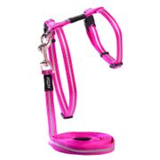 Rogz AlleyCat Control Harness and Lead for Cats