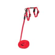 Rogz AlleyCat Control Harness and Lead for Cats