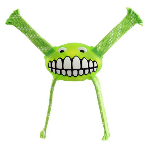 Rogz Flossy Grinz Dental Toy Lime Lge