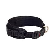 Rogz Utility Classic Collar Padded for Dogs