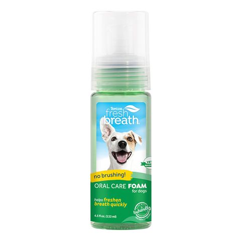 Tropiclean Fresh Breath Foam For Dogs