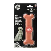 Tasty Bone Nylon Bone For Dogs