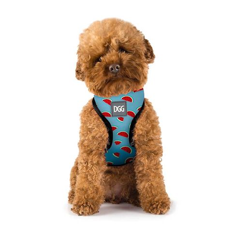 Puppia Soft Harness X Black Sml