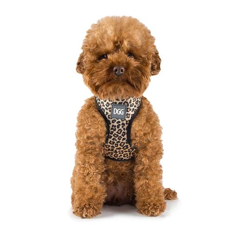 Puppia Soft Harness X Camo Sml