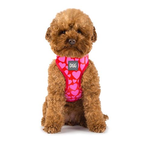 Puppia Soft Harness Black Med