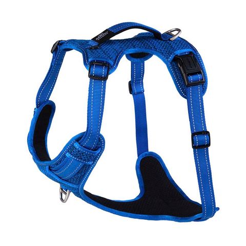 Rogz Utility Explore Harness Blue Xlge