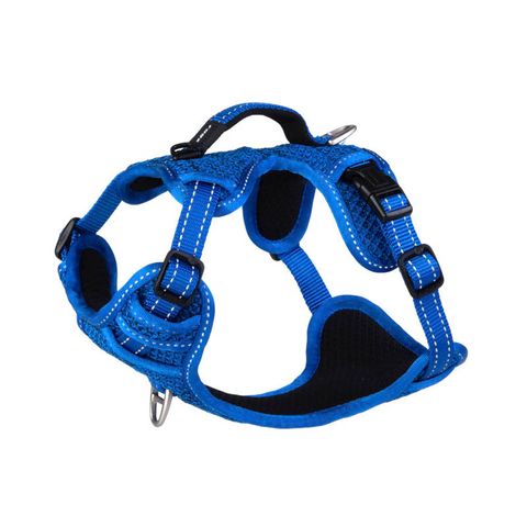 Rogz Utility Explore Harness Blue Sml