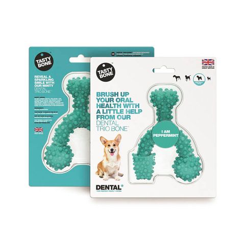 Tasty Bone Nylon Dental Trio Peppermint Sml