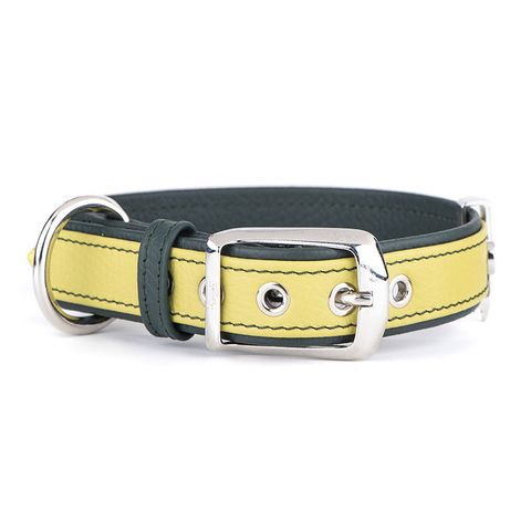 My Family Firenze Leather Collar Lime Med