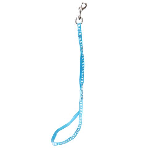 Groom Professional Arno Basic Noose Paw Print Cyan Blue 45cm