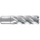 Annular Cutter