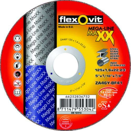 FLEXOVIT MAXX 100PC  125 X 1.0X 22.23