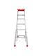 LADDERS