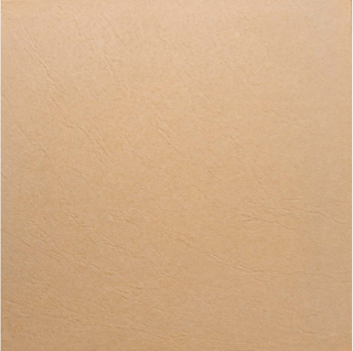 Leatherstone 450x450x45 Standard Paver (Clay)