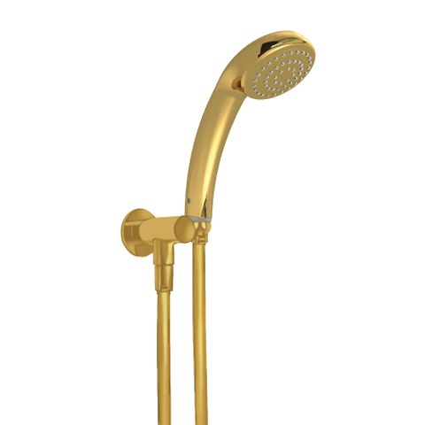 Princess Handheld Shower - Gold