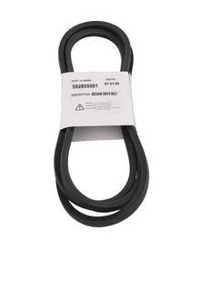 Drive Belt