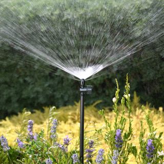 Micro Irrigation