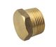 BSP Brass Plugs