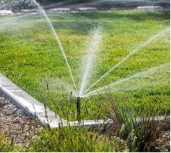 Popup Sprinklers